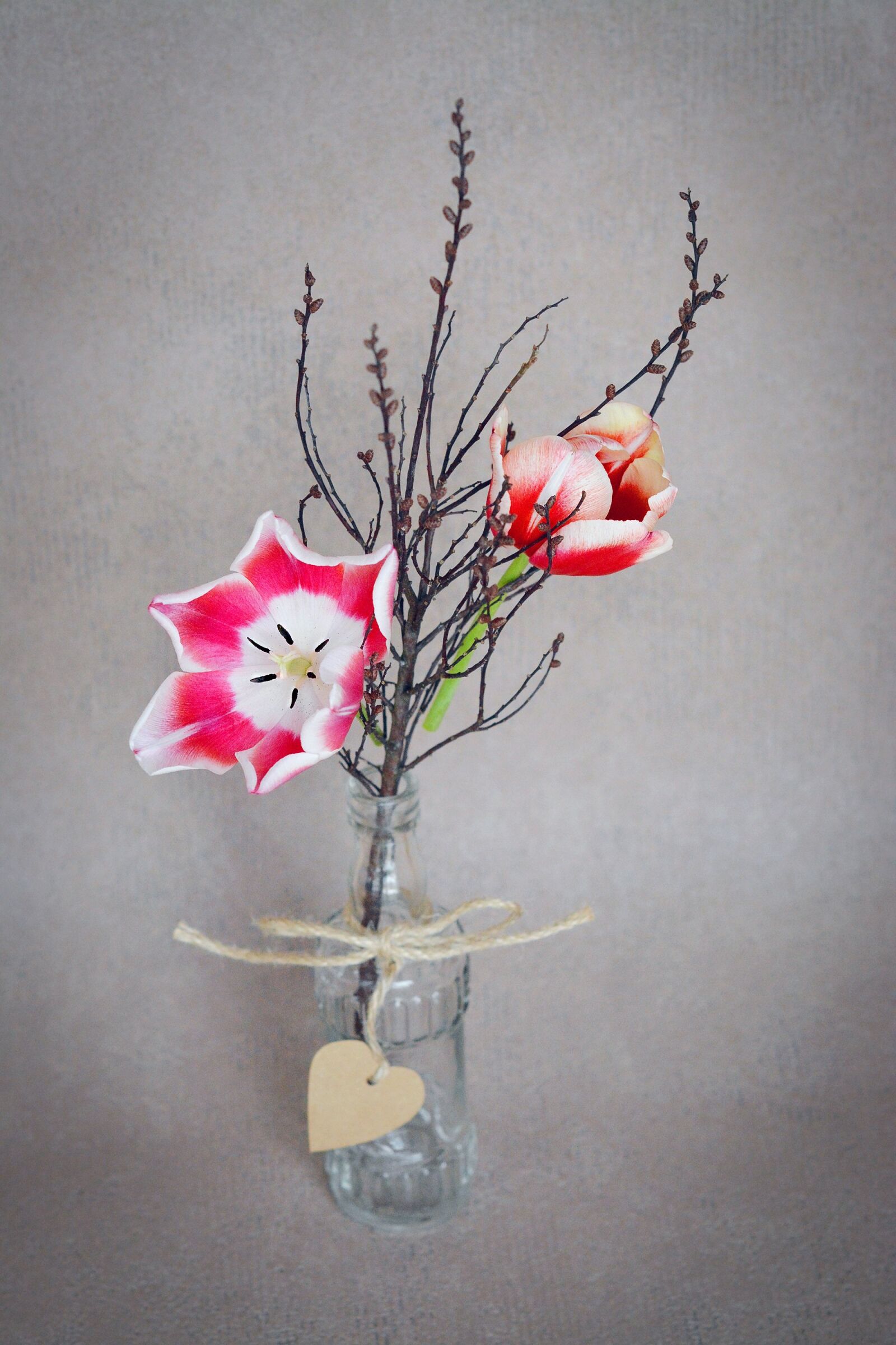 Nikon D7100 sample photo. Flowers, tulips, pink white photography