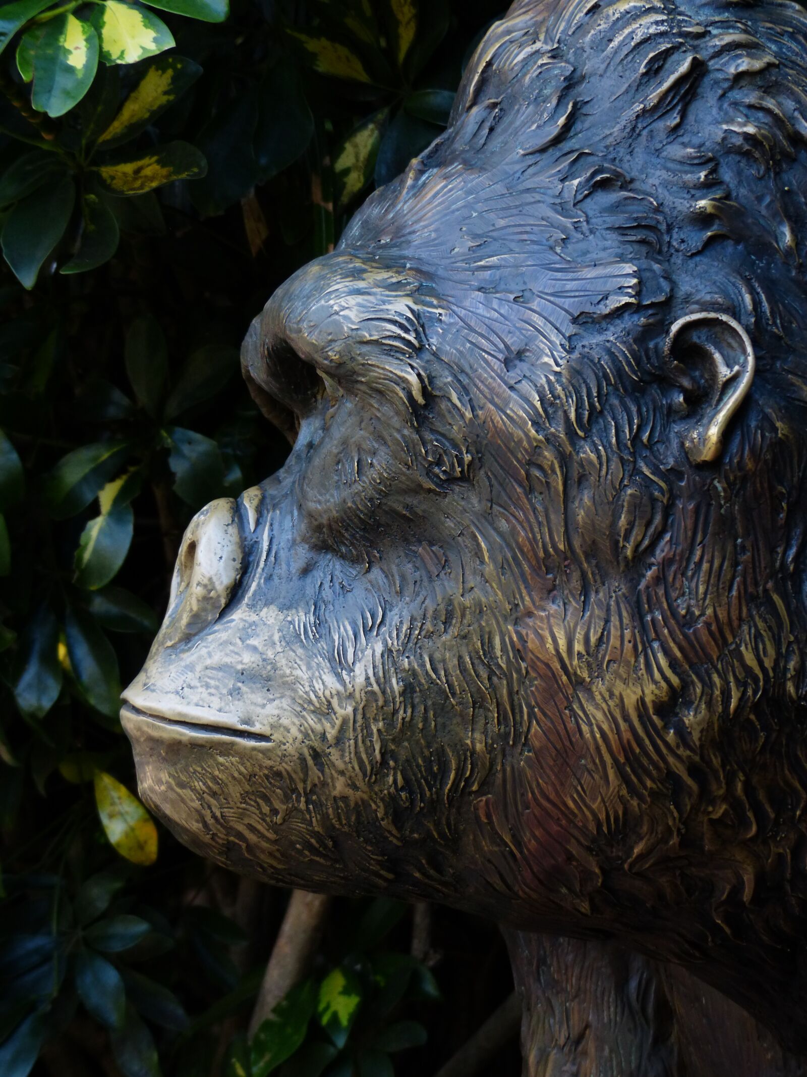 Panasonic Lumix DMC-FZ200 sample photo. Monkey, bronze statue, figure photography