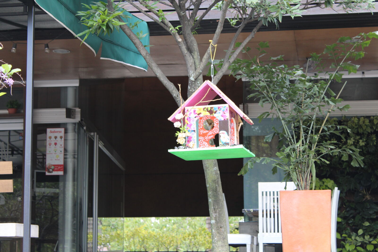 Canon EOS 1300D (EOS Rebel T6 / EOS Kiss X80) sample photo
