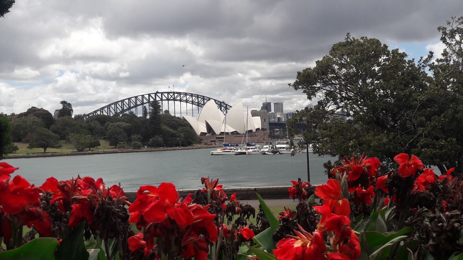 Samsung Galaxy A5(2016) sample photo. Sydney, adventure, australia photography