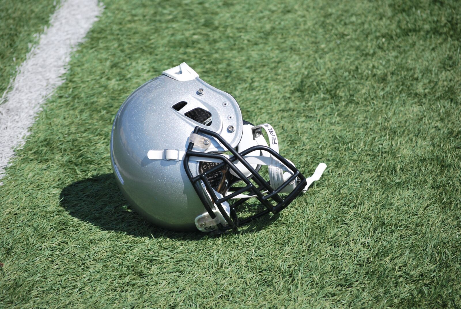 Nikon D60 sample photo. American football, helmet, sport photography