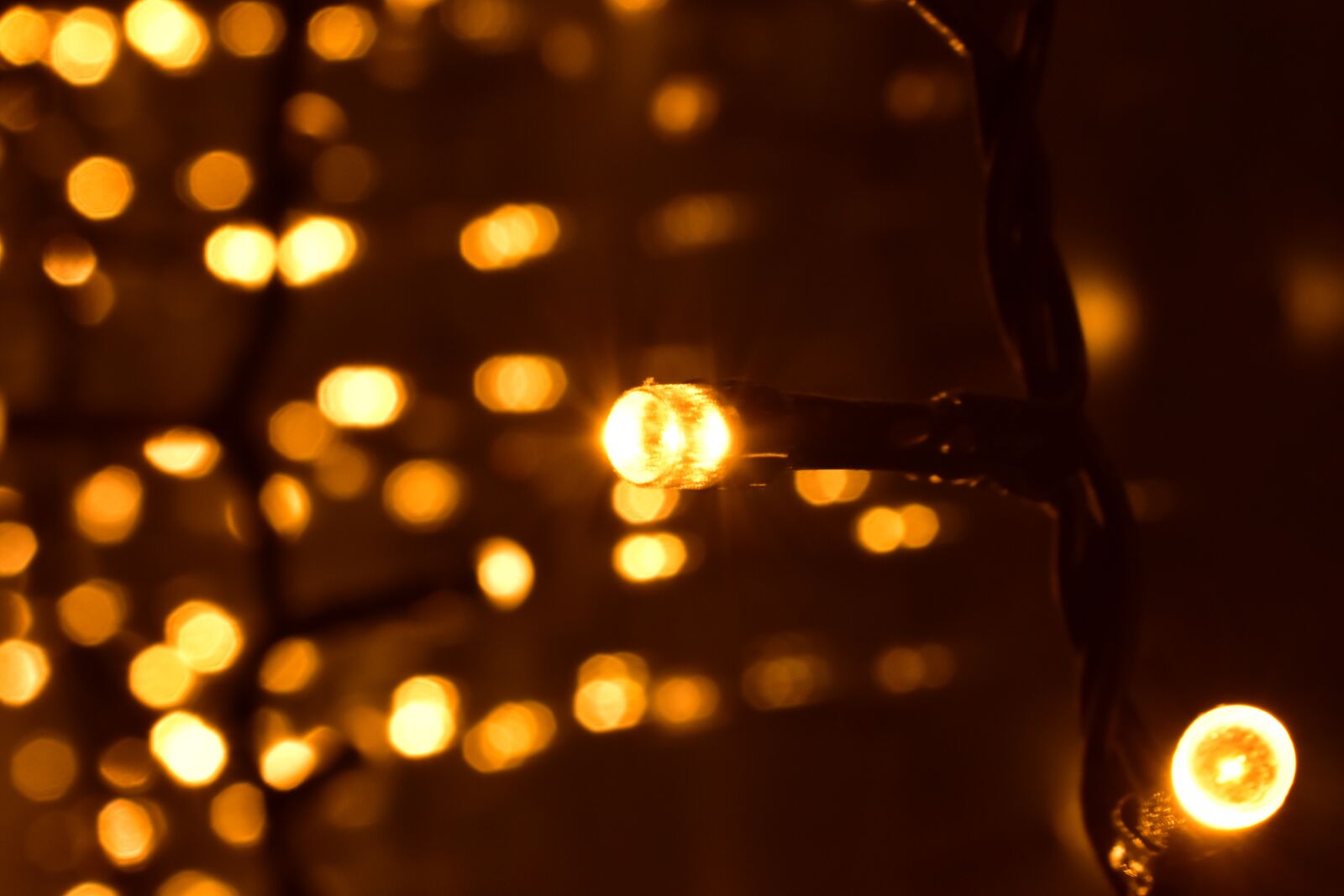 Nikon D3400 sample photo. Lights, decoration, christmas photography