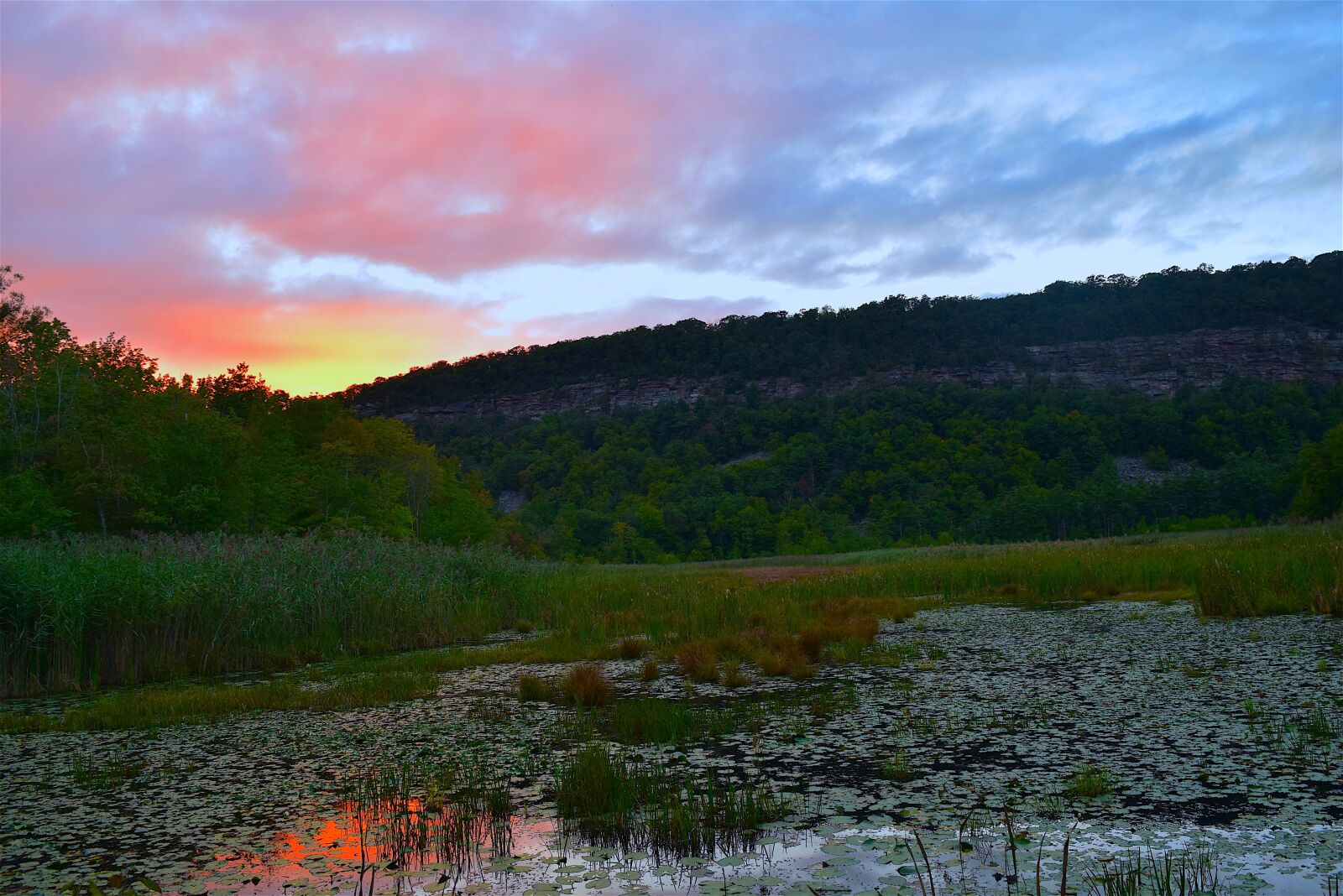 Nikon D3300 sample photo. Pond, sunset, sky photography