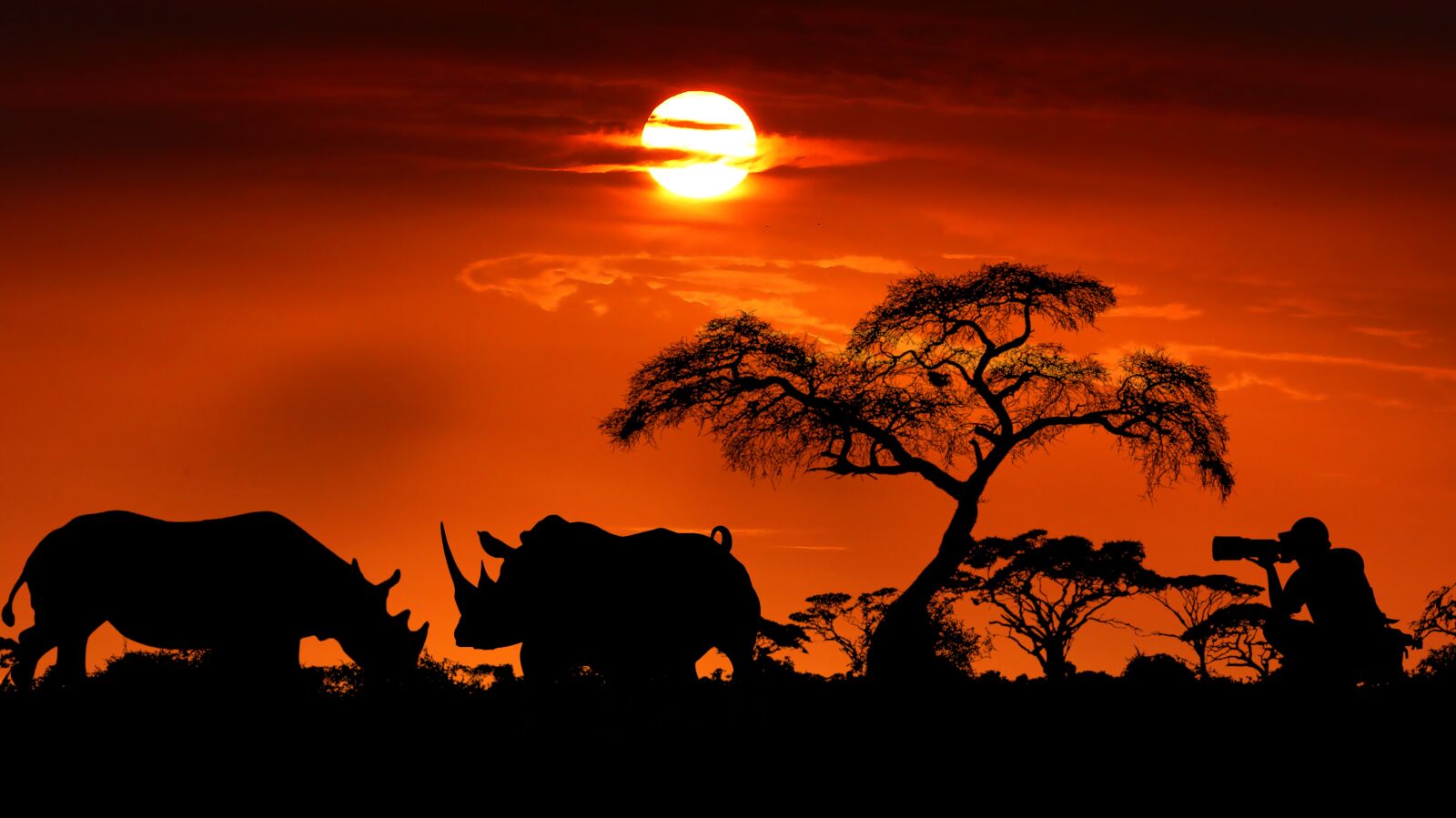 Panasonic Lumix DMC-FZ200 sample photo. Sunset, rhinoceros, wild photography