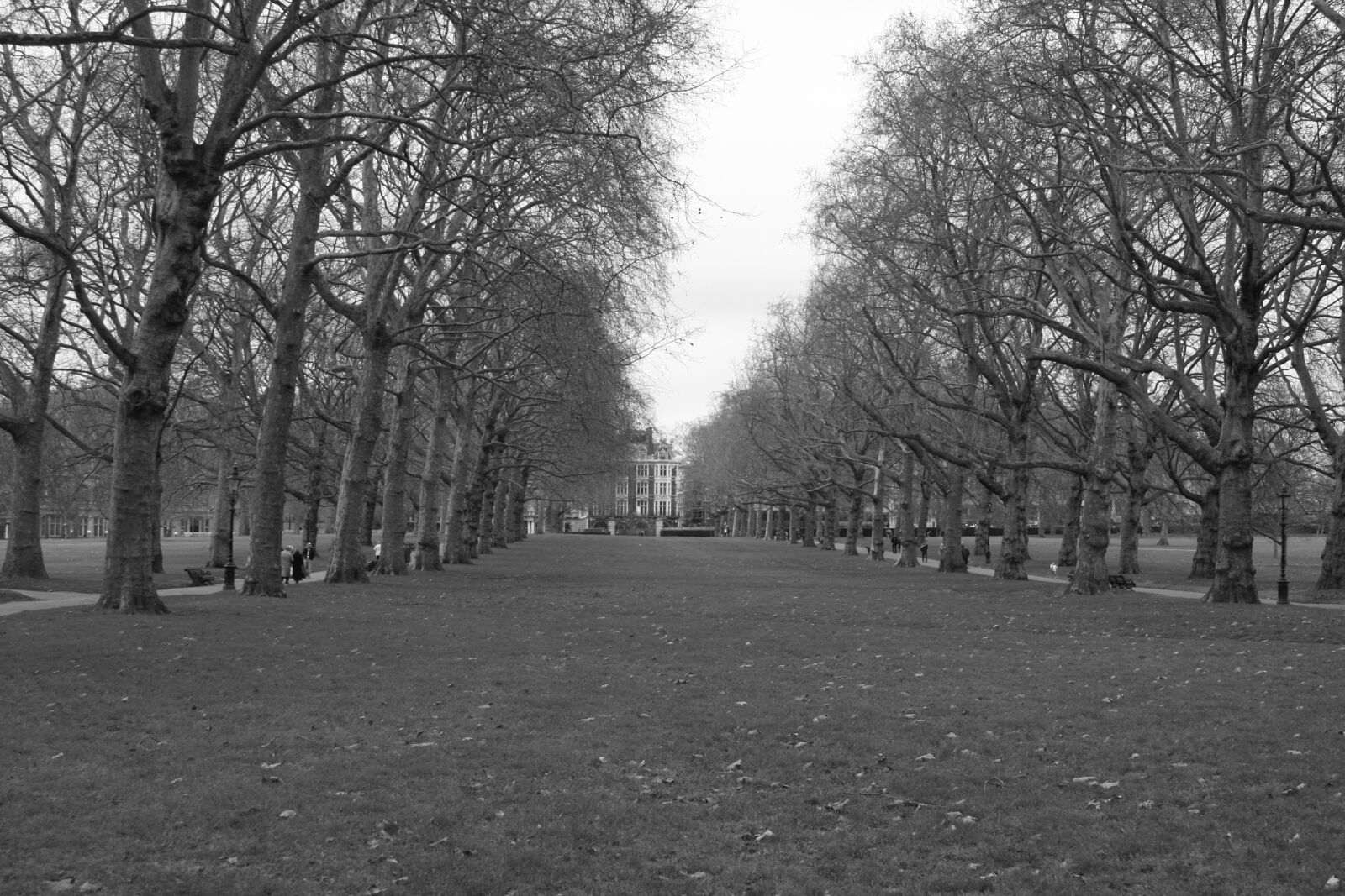 Canon EOS 40D sample photo. Grey, perspective, fall photography