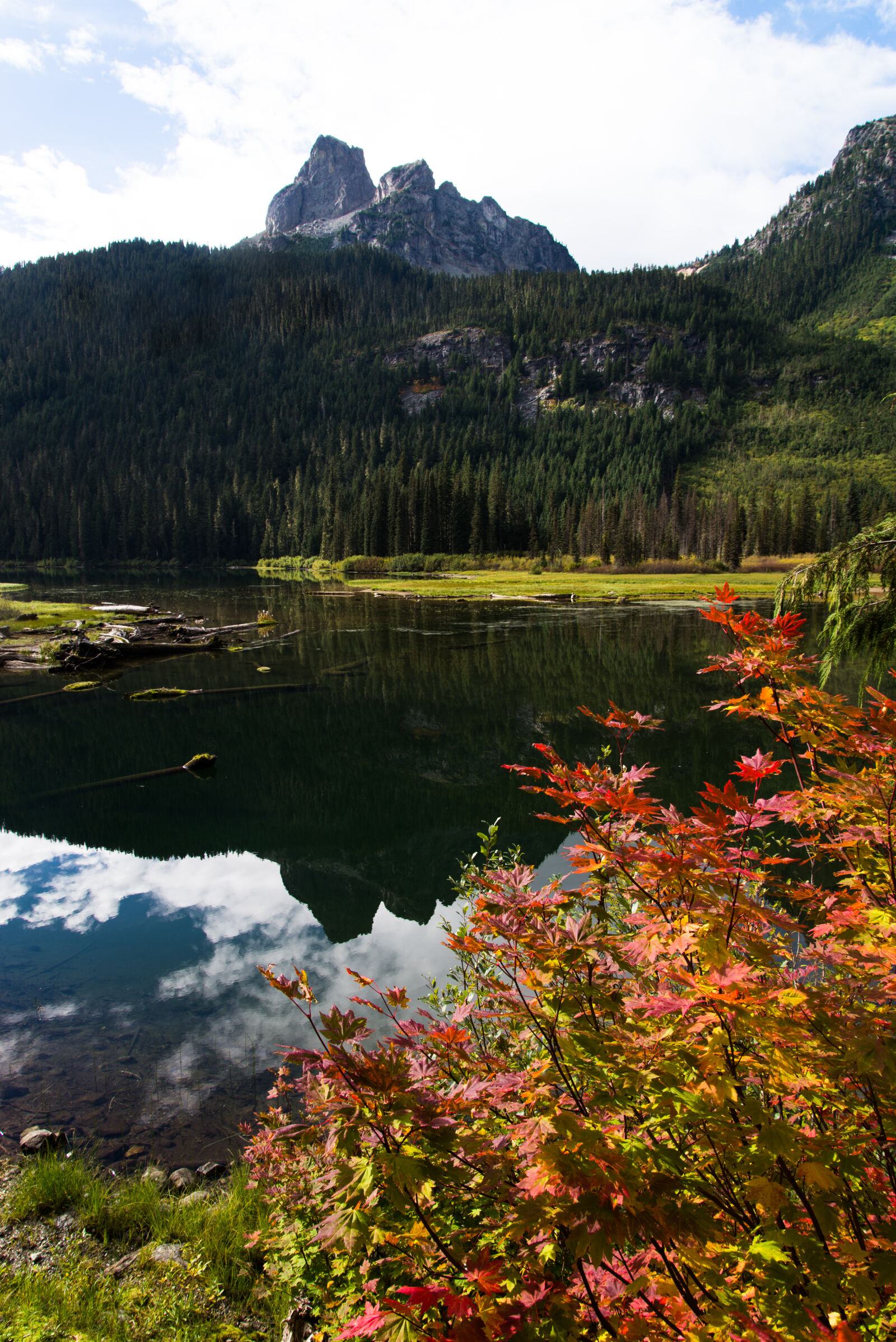 Nikon D600 sample photo. Autumn, cascades, fall, colors photography