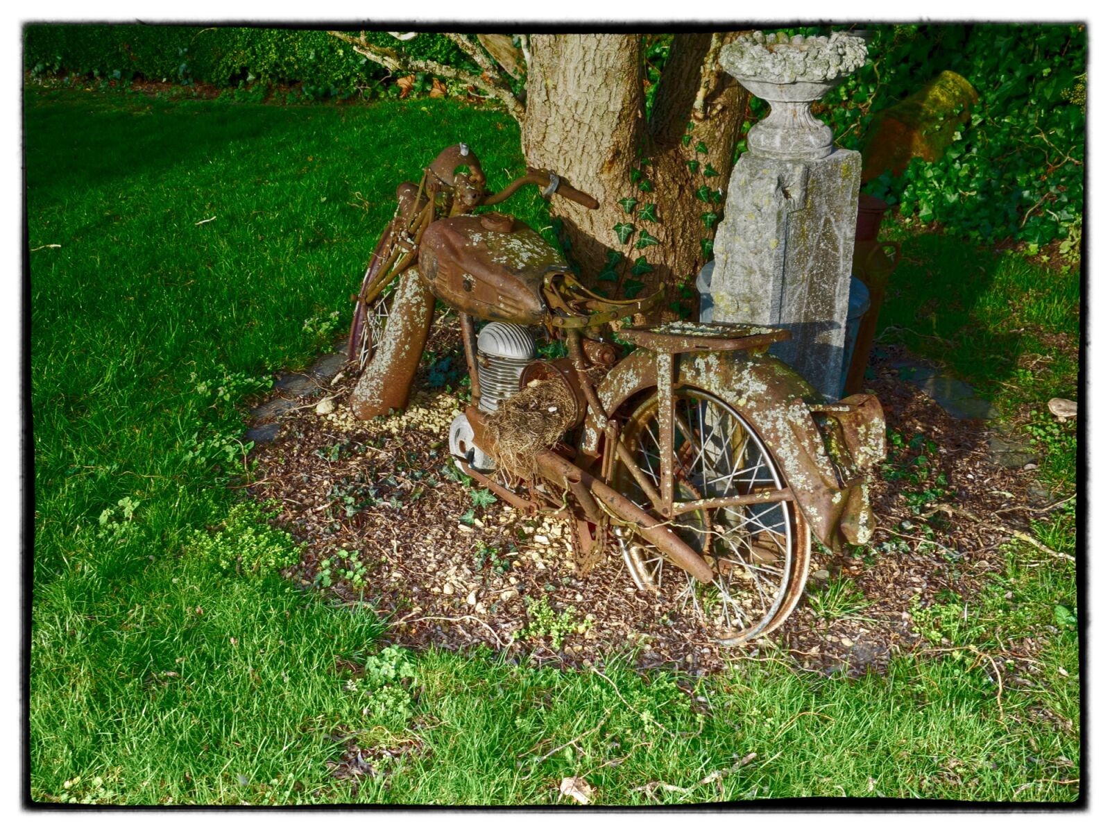 Sony Cyber-shot DSC-RX100 sample photo. Vintage, rust, old photography