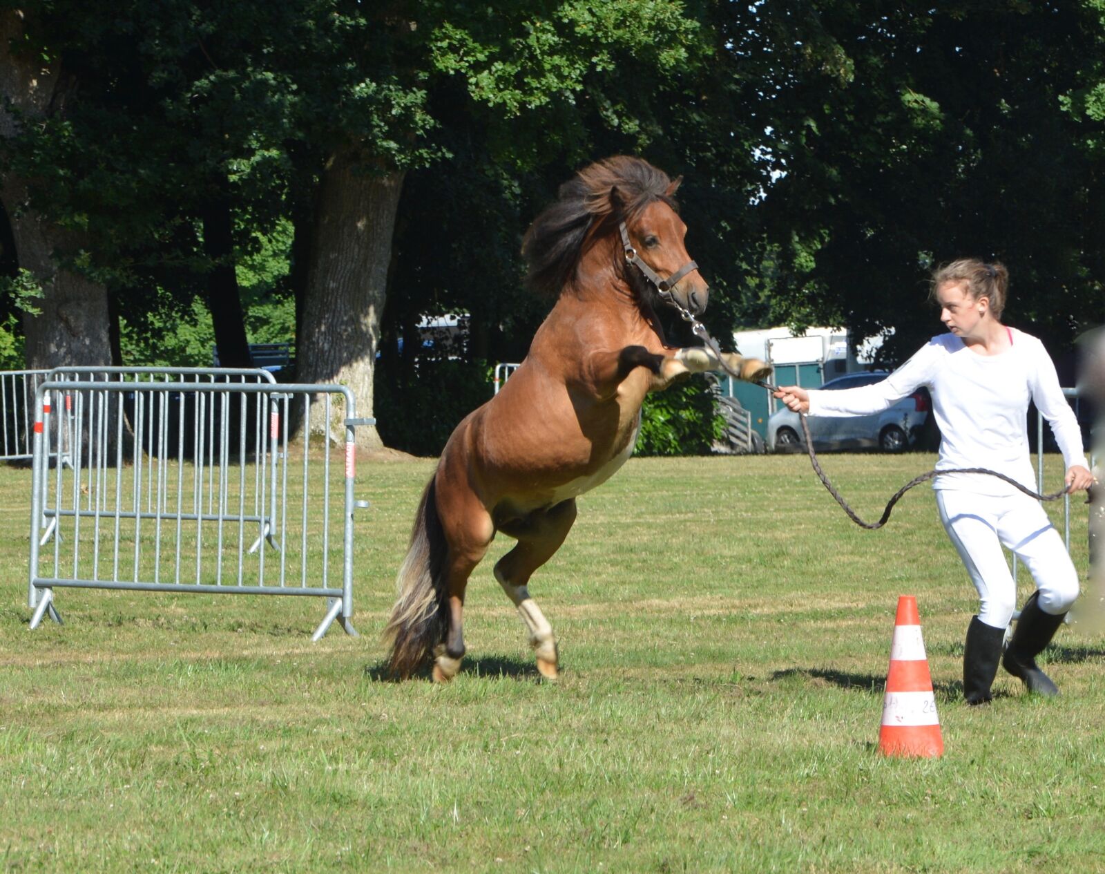 Nikon D5200 sample photo. Pony, squat, cabrer photography
