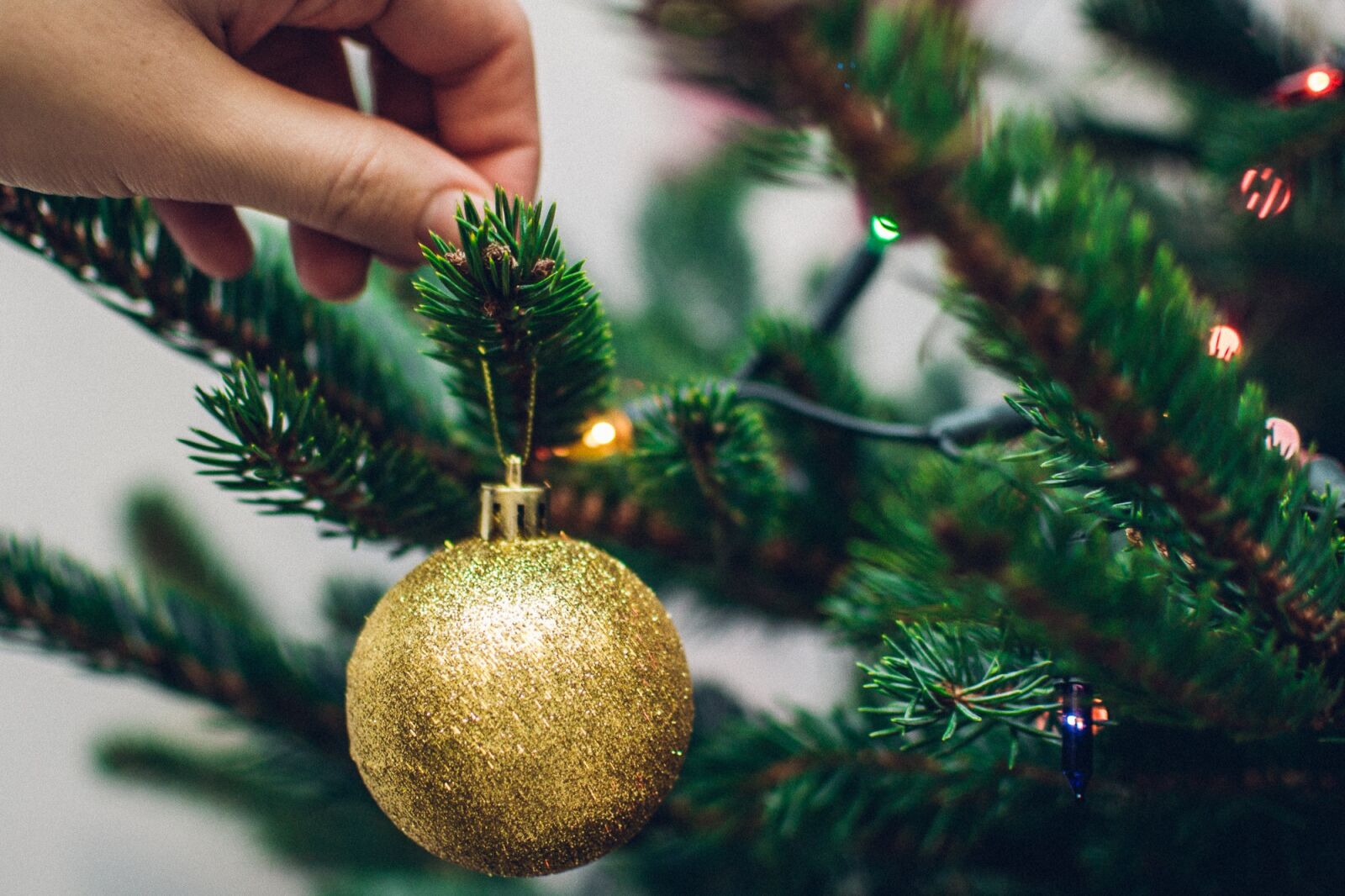 Nikon D3100 sample photo. Christmas, tree, lights photography