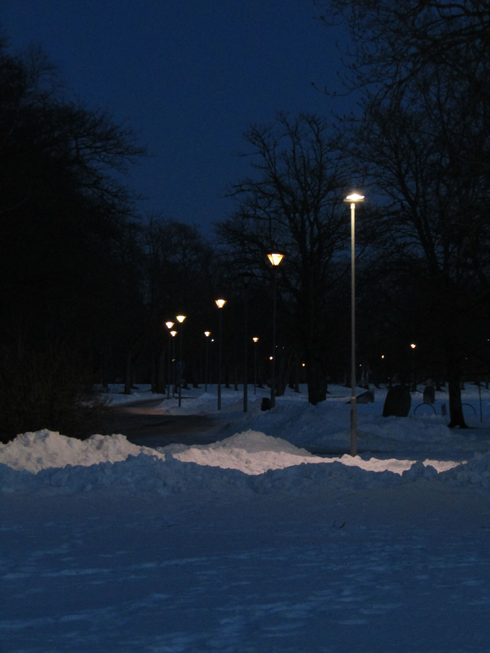 Canon PowerShot SX420 IS sample photo