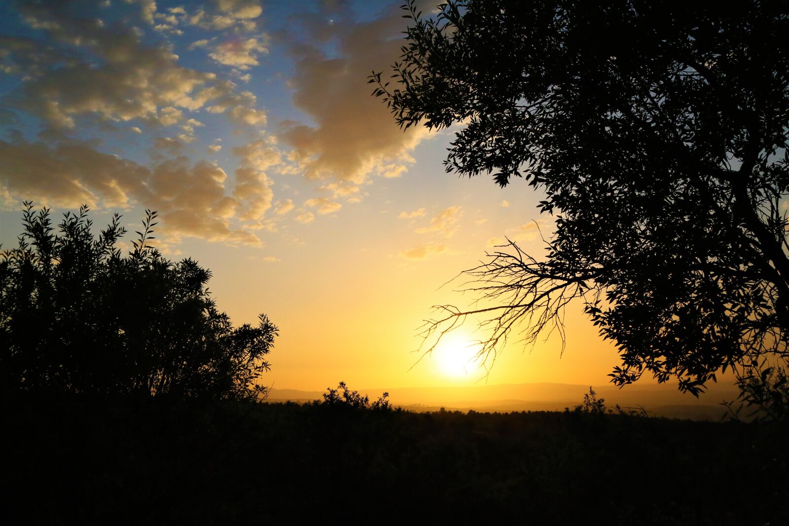 Canon EF 24-105mm F4L IS USM sample photo. Sunset, in the evening photography