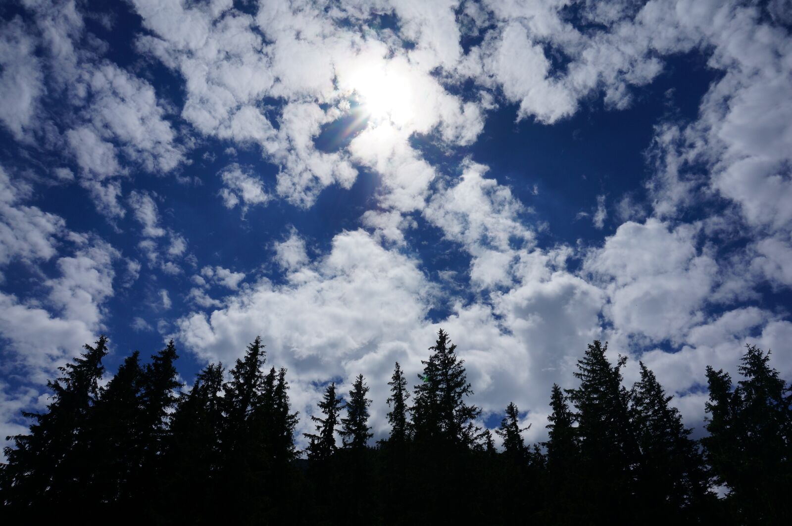 Sony Alpha NEX-5T sample photo. Clouds, sky, tree photography