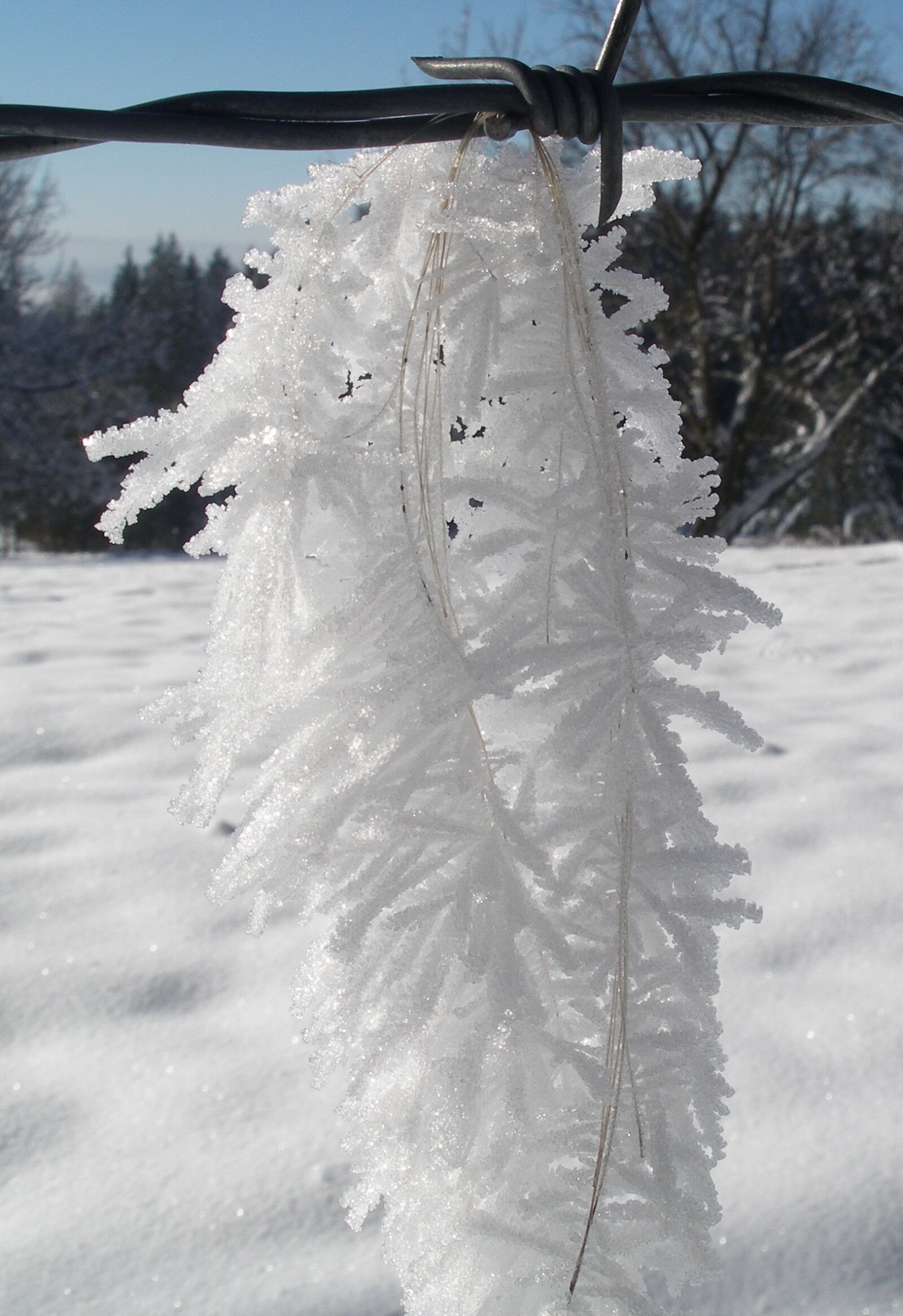 Pentax OPTIO 750Z sample photo. Winter, snow, snow crystal photography