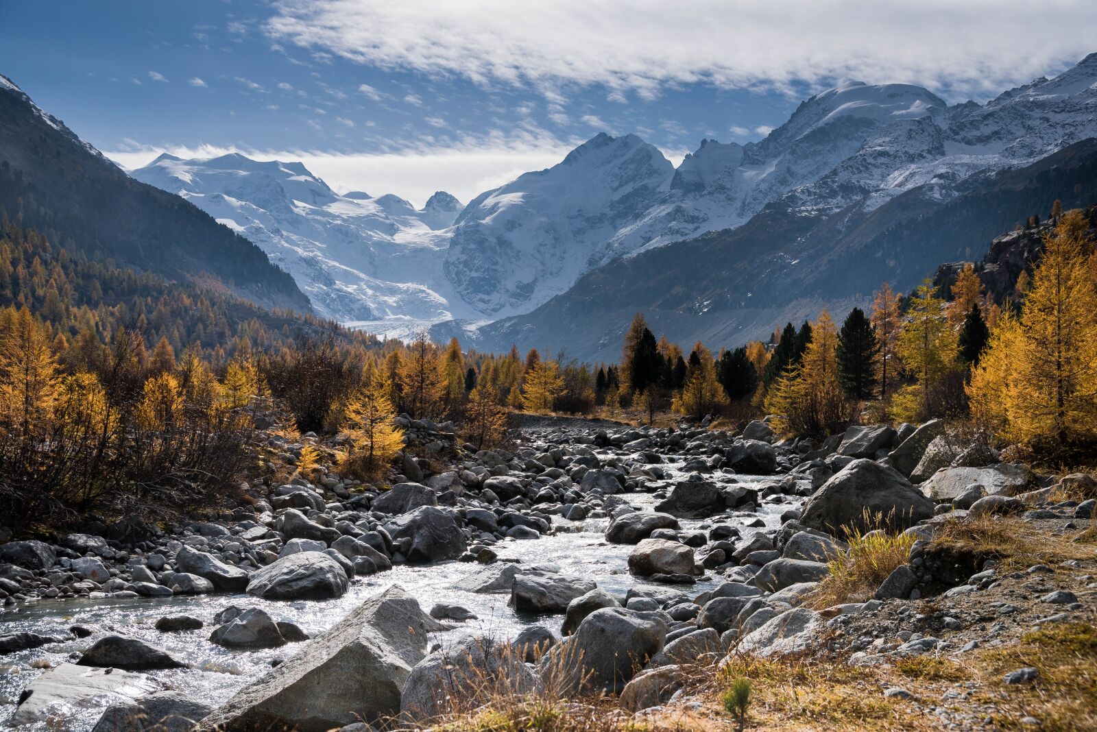 Nikon D810 sample photo. Autumn, larch, larch discoloration photography