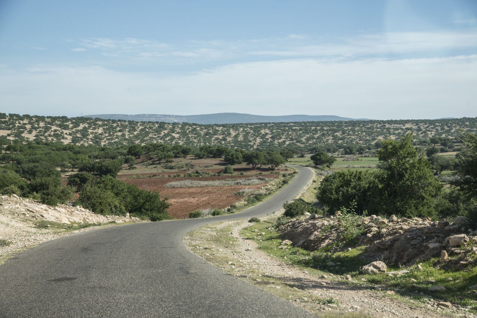 Nikon D800 sample photo. Morocco, road, trees photography