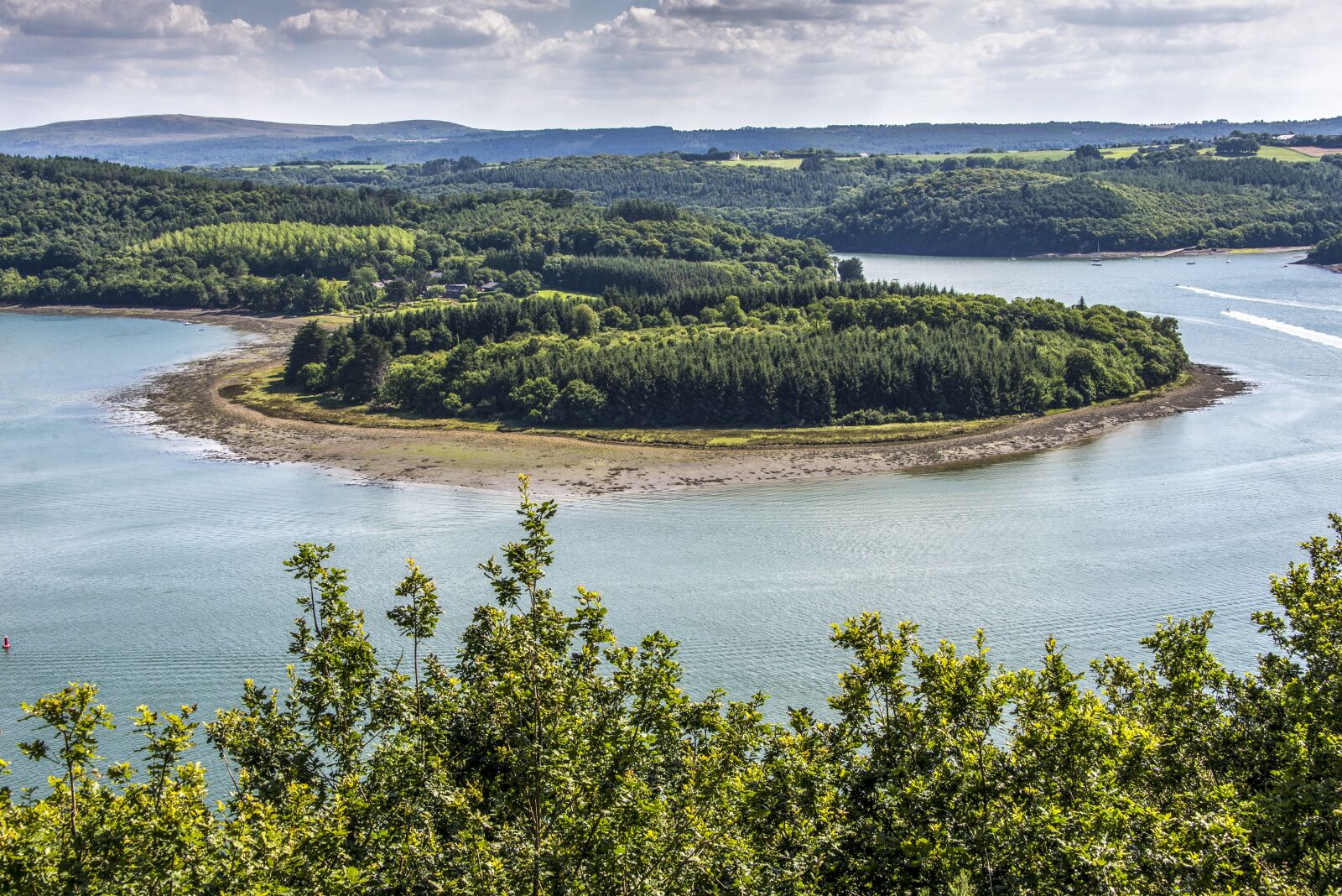 Nikon D610 sample photo. Background, landscape, wallpaper photography