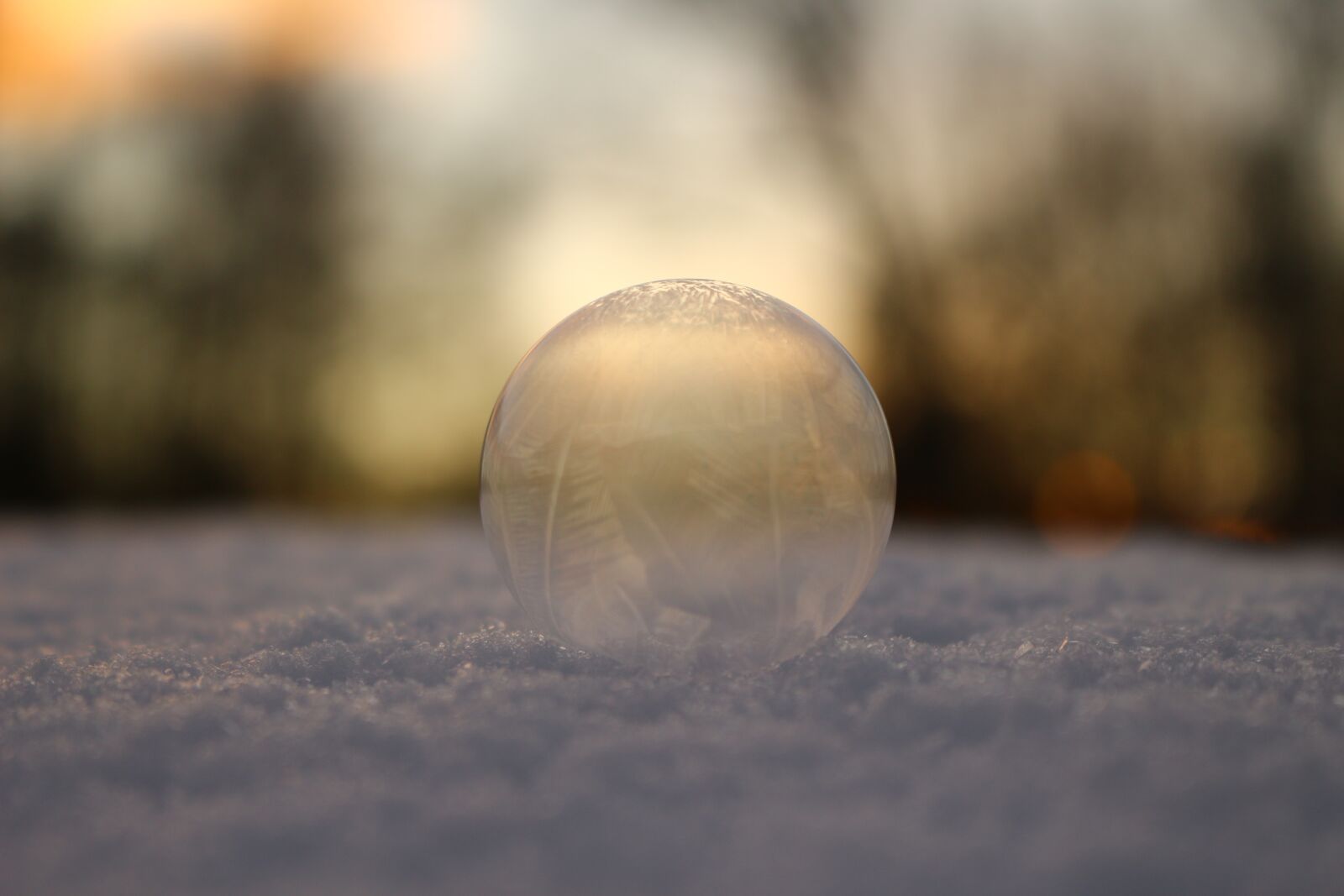Canon EOS 100D (EOS Rebel SL1 / EOS Kiss X7) sample photo. Bubble, snow, soap bubble photography