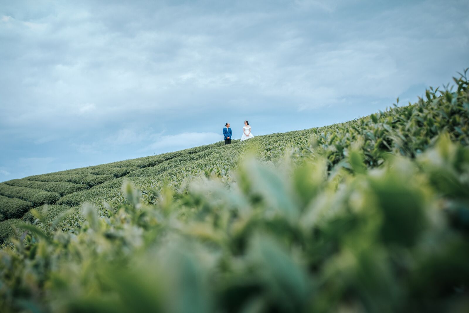 Canon EOS 70D sample photo. Tea, hill tea, wedding photography