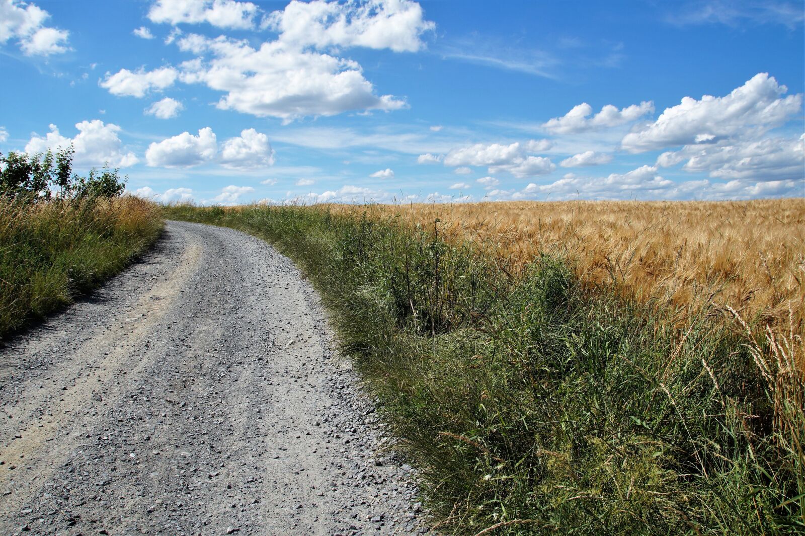 Sony SLT-A58 sample photo. Path, úvoz, field photography
