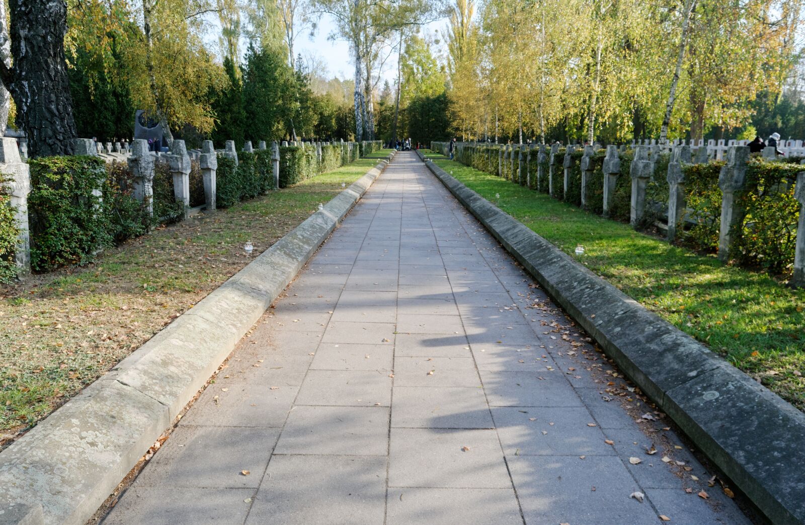 Nikon D3100 sample photo. Alley, cemetery, heroes photography