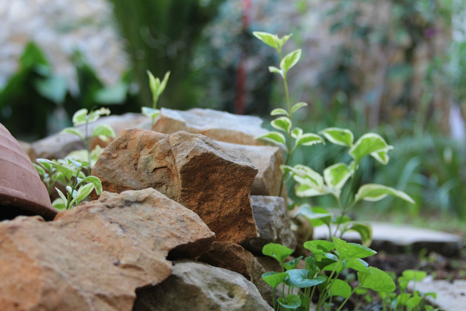 Canon EF 28-135mm F3.5-5.6 IS USM sample photo. Stones, nature, green photography