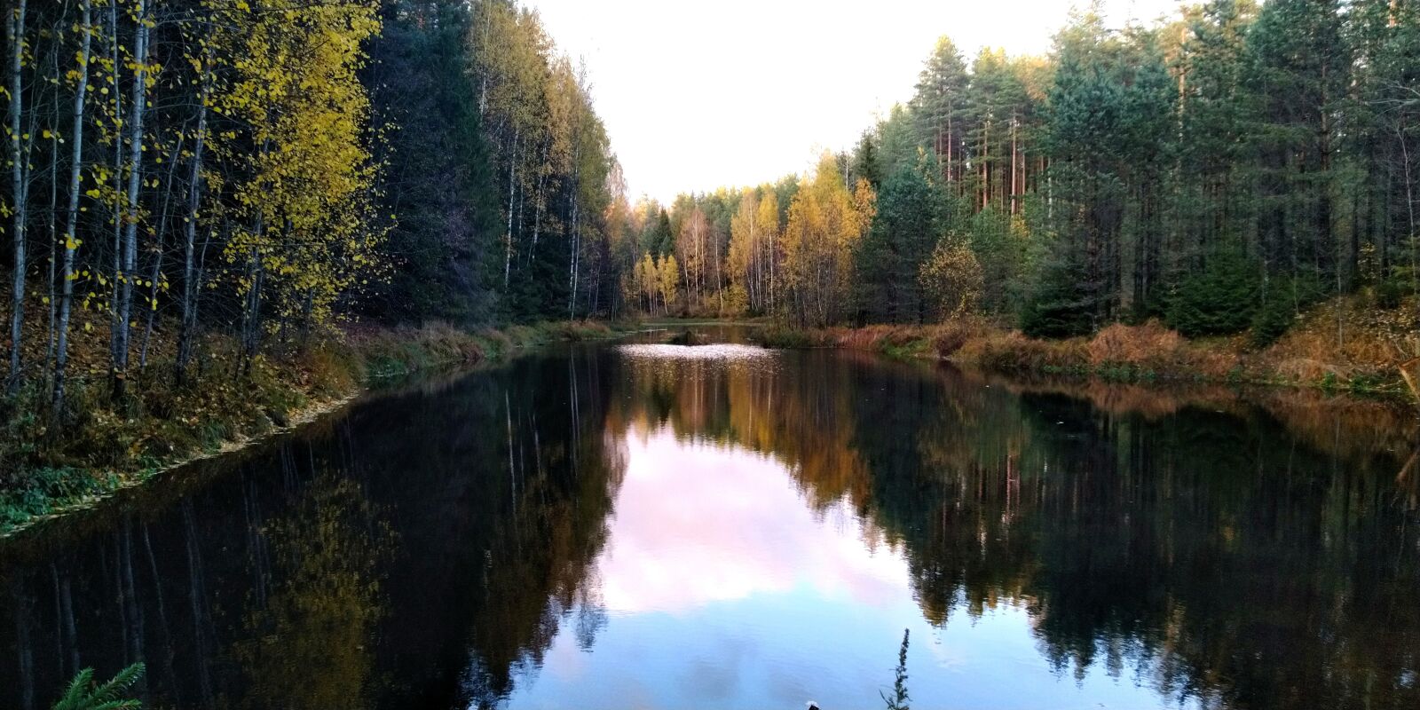 ASUS ZenFone 5 Lite (ZC600KL) sample photo. Autumn, pond, forest photography