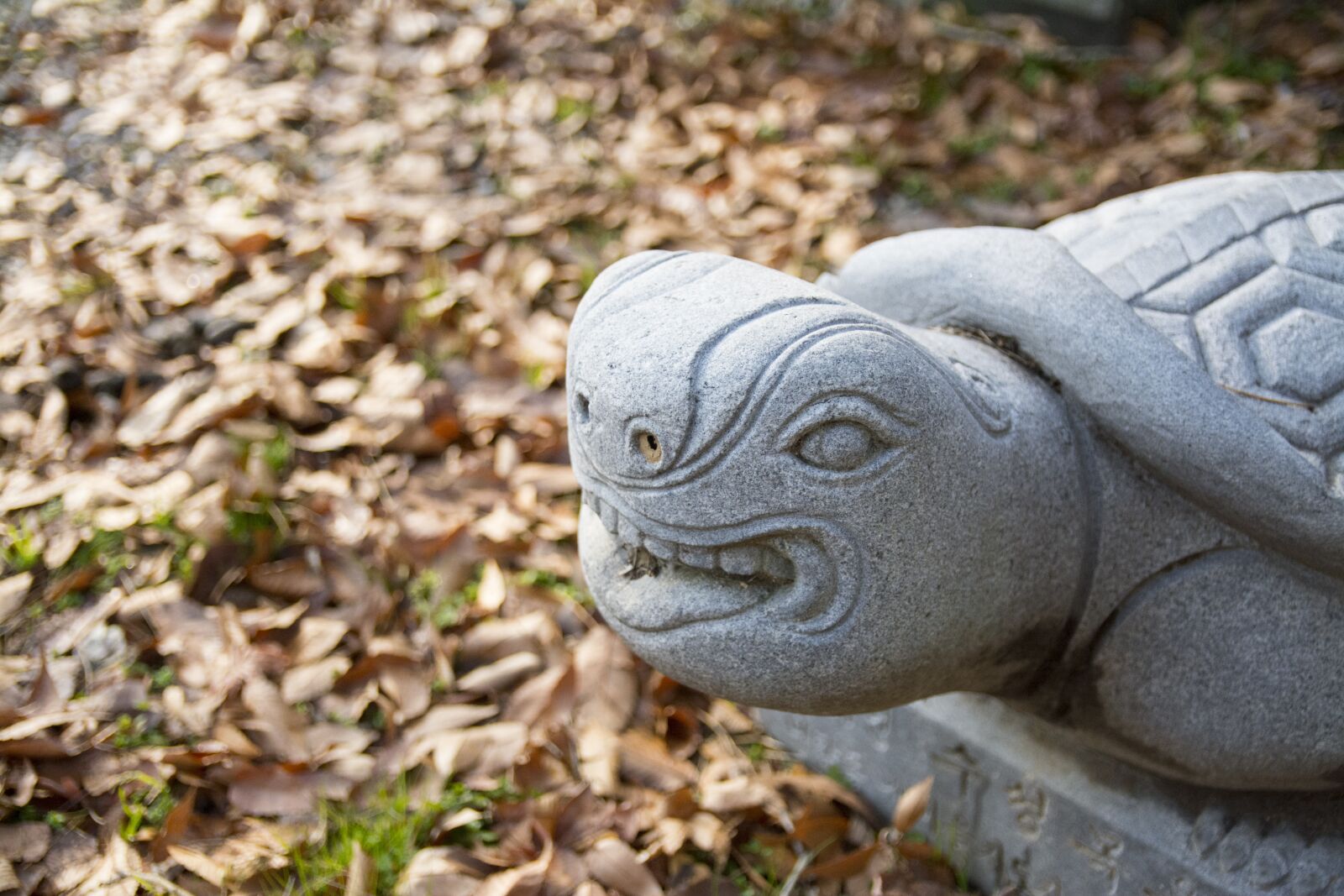 Nikon D7100 sample photo. Republic of korea, traditional photography