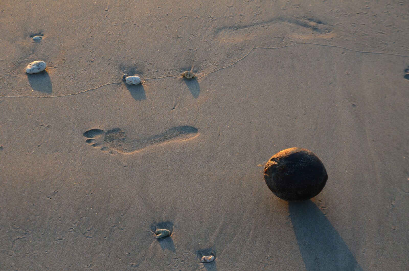 Nikon D7000 sample photo. Coconut, beach, footprint photography