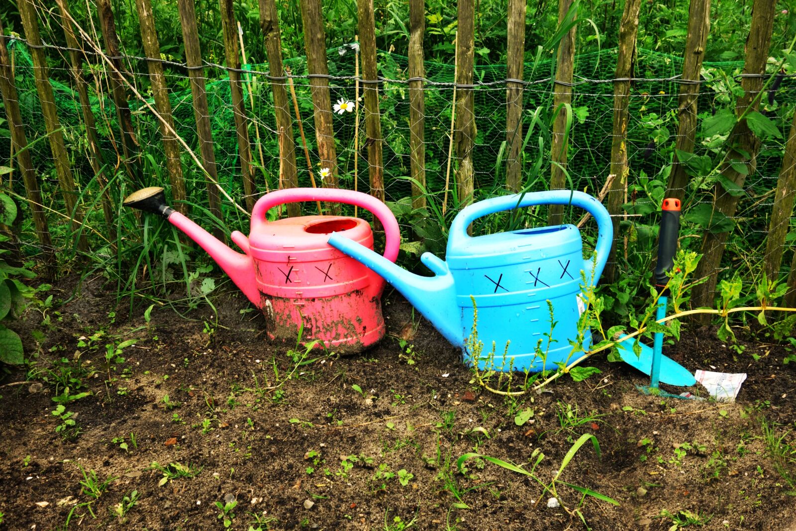 Sony Cyber-shot DSC-RX100 sample photo. Can, watering can, equipment photography