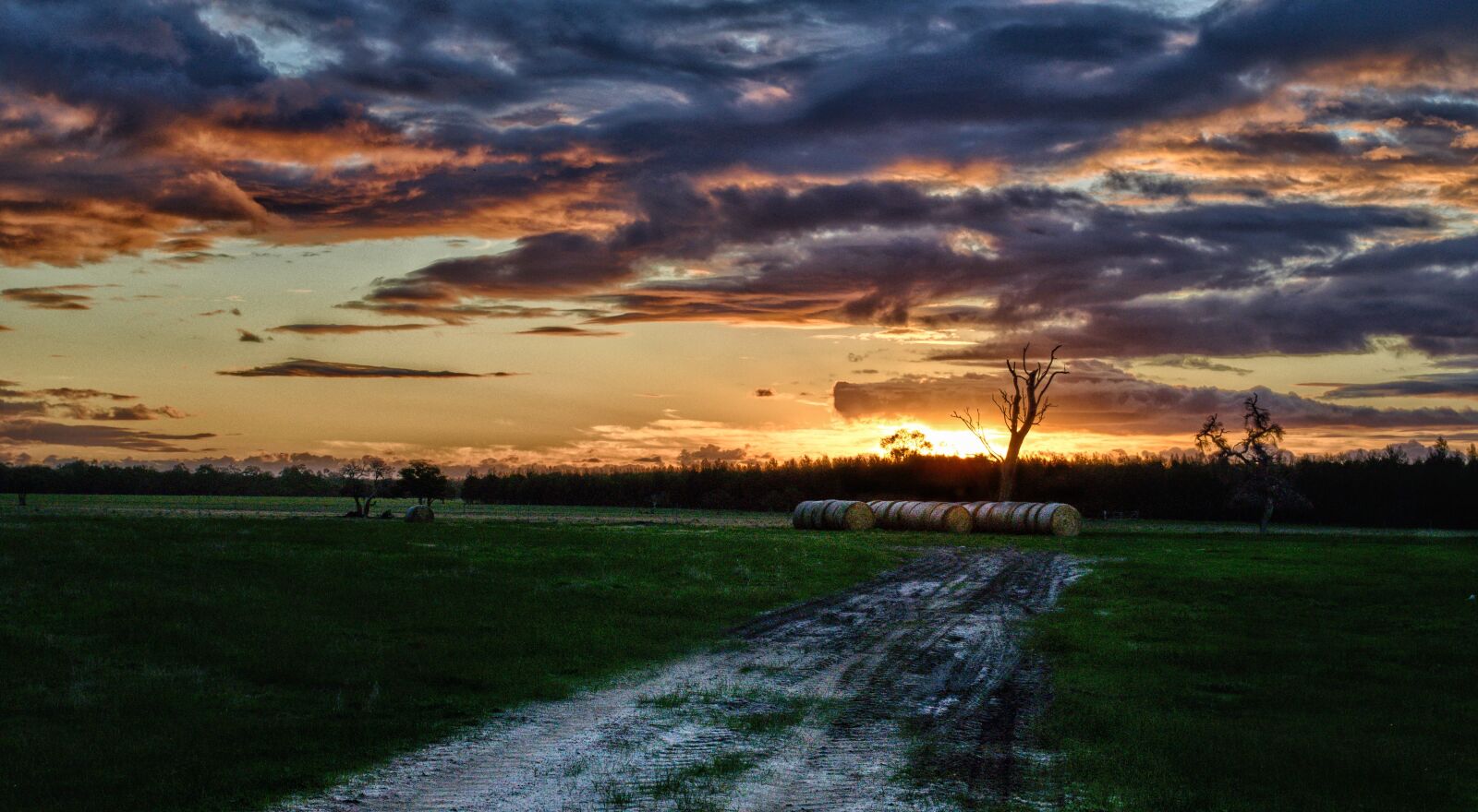 Nikon D3300 sample photo. Sunset, farm, light photography