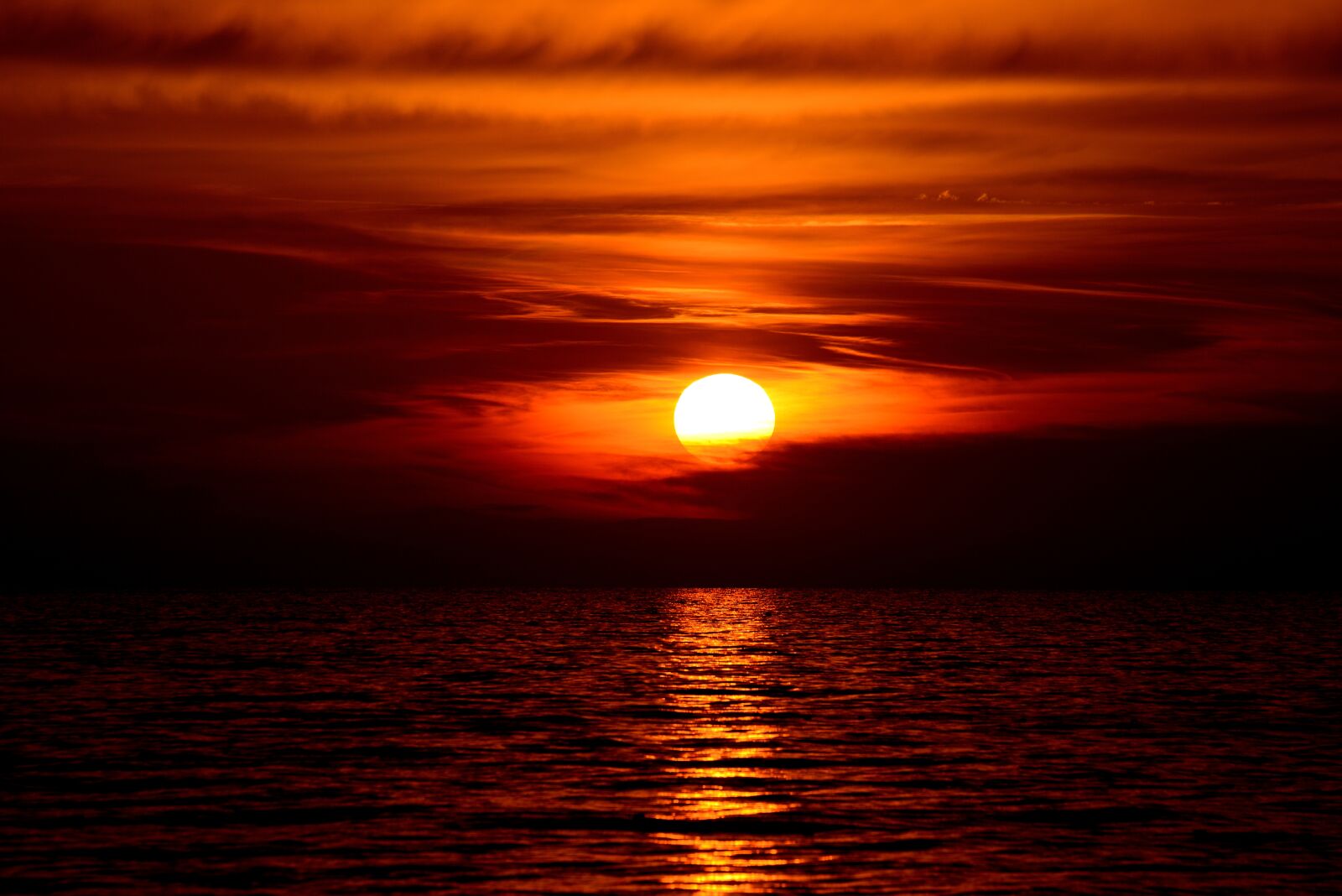 Nikon D800 sample photo. Sun, sunset, sea photography