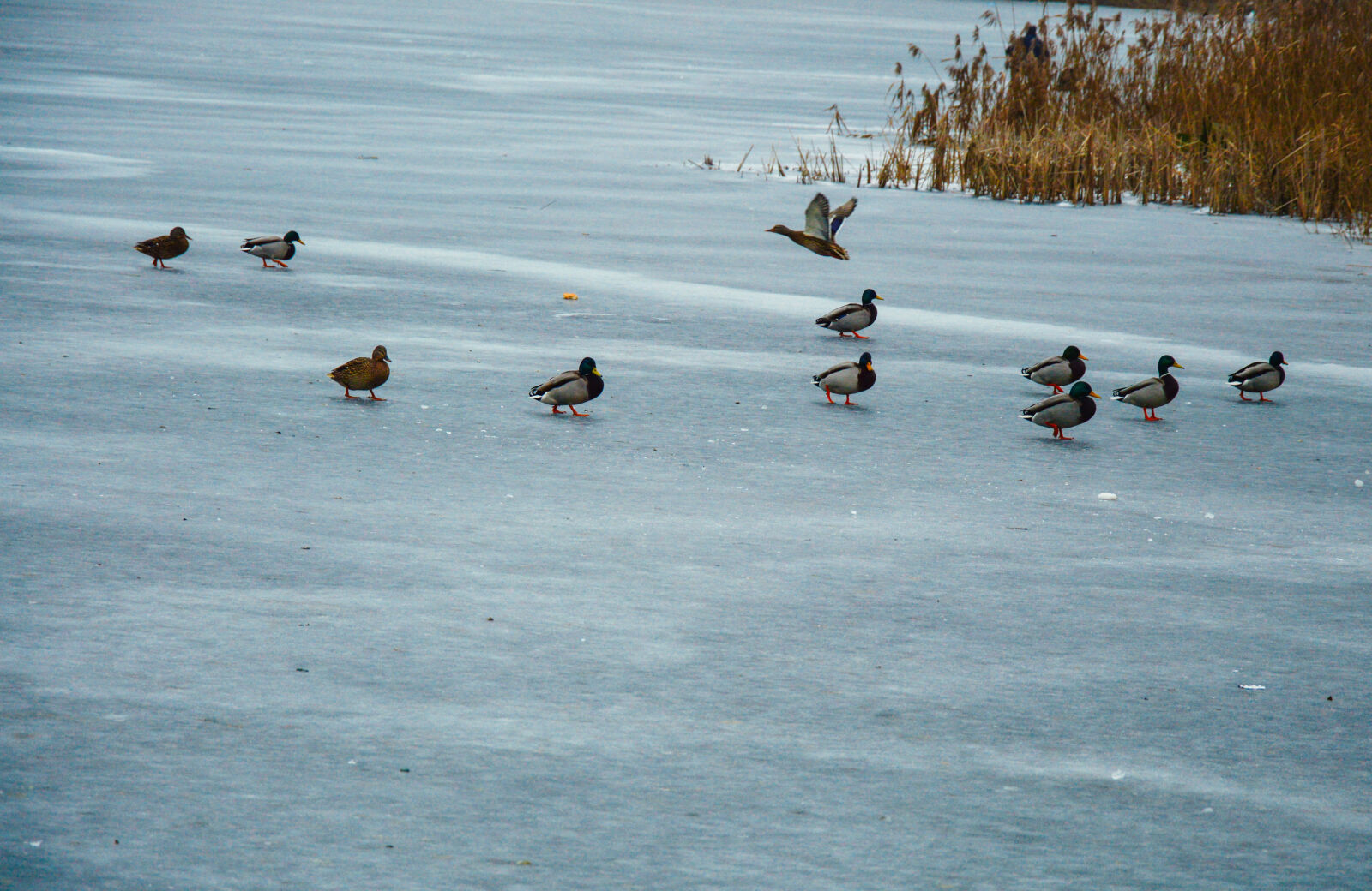 Nikon D3200 sample photo