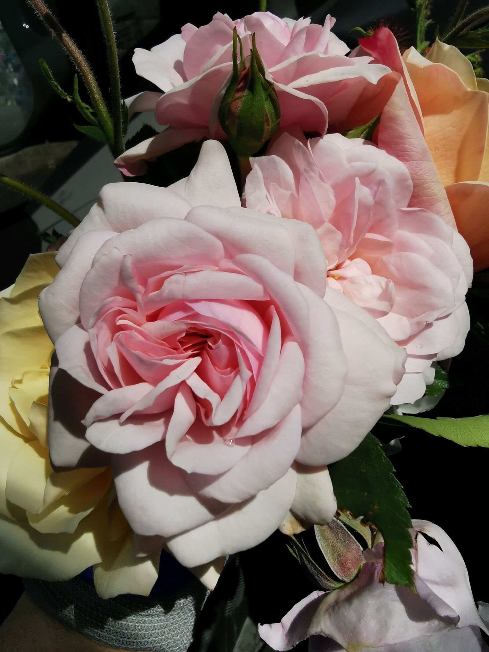 HUAWEI P30 sample photo. Roses, bunch of roses photography