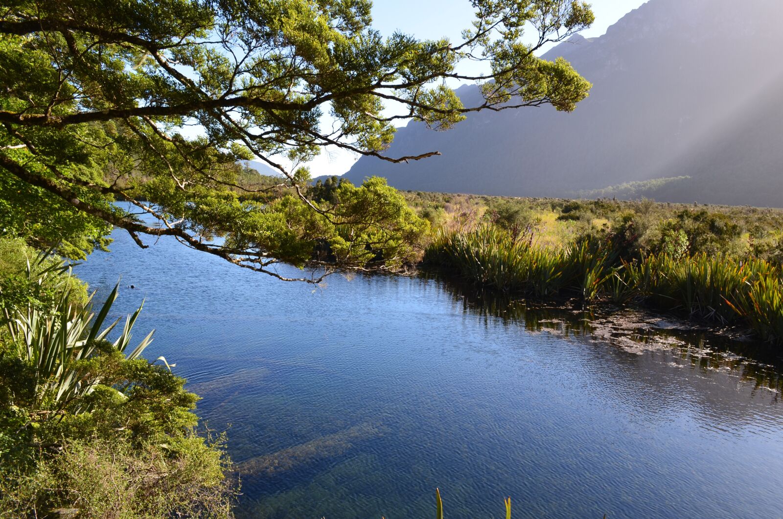Nikon D5100 sample photo. Nature, water, landscape photography