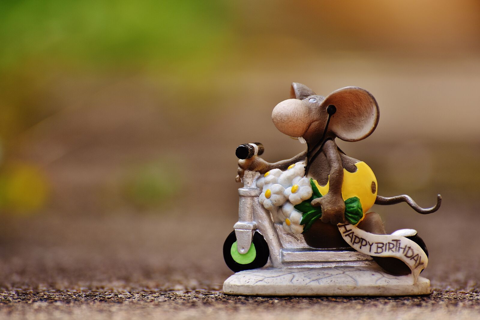 Nikon D7200 sample photo. Birthday, mouse, roller photography