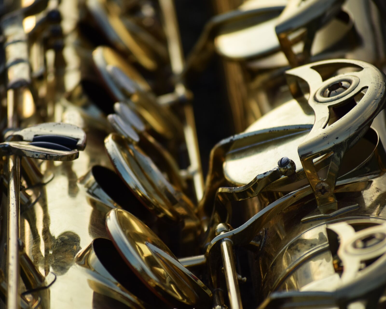 Nikon D3300 sample photo. Music, instrument, musical instruments photography