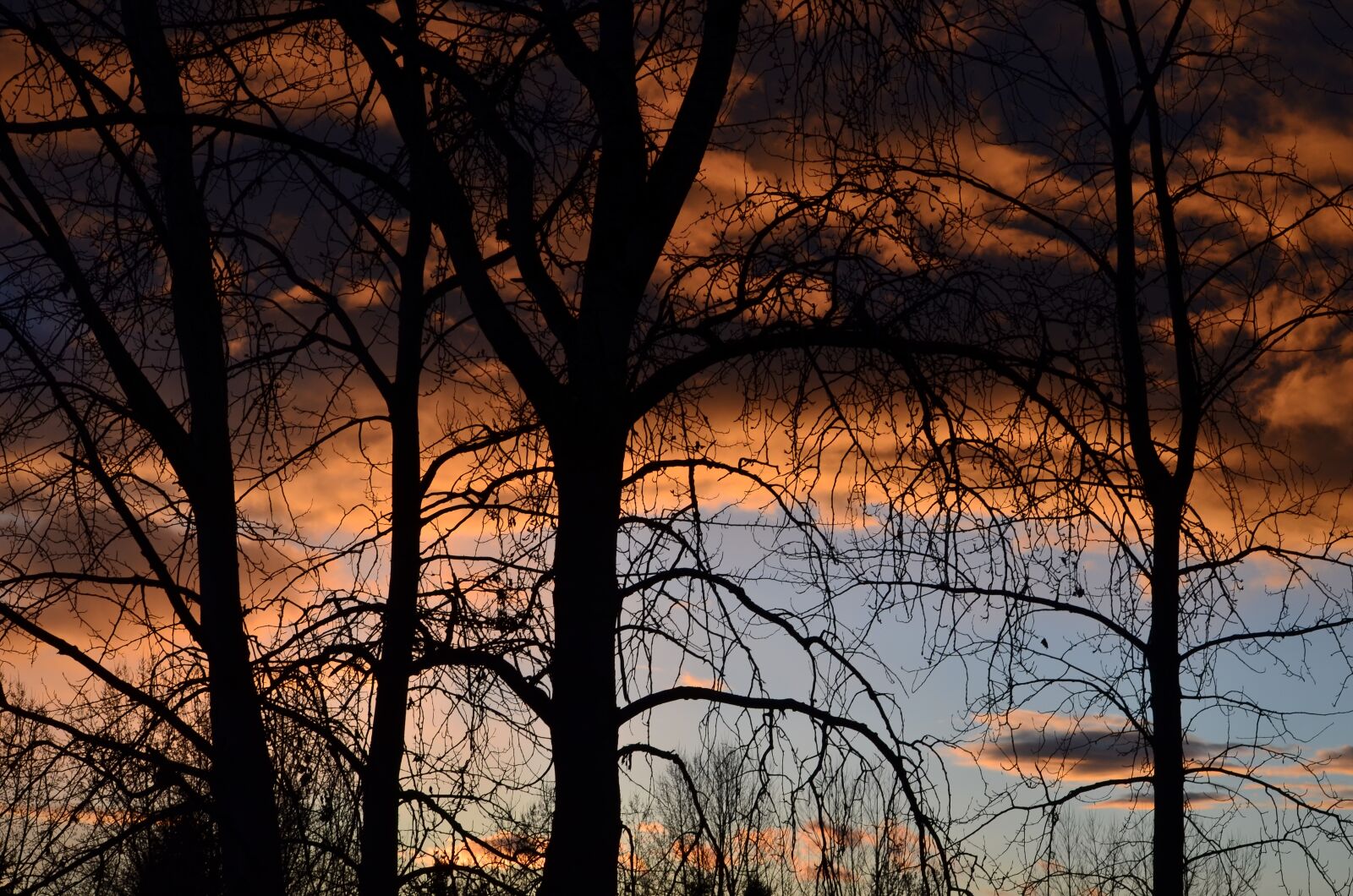 Nikon D5100 sample photo. Sunset, storm, trees photography