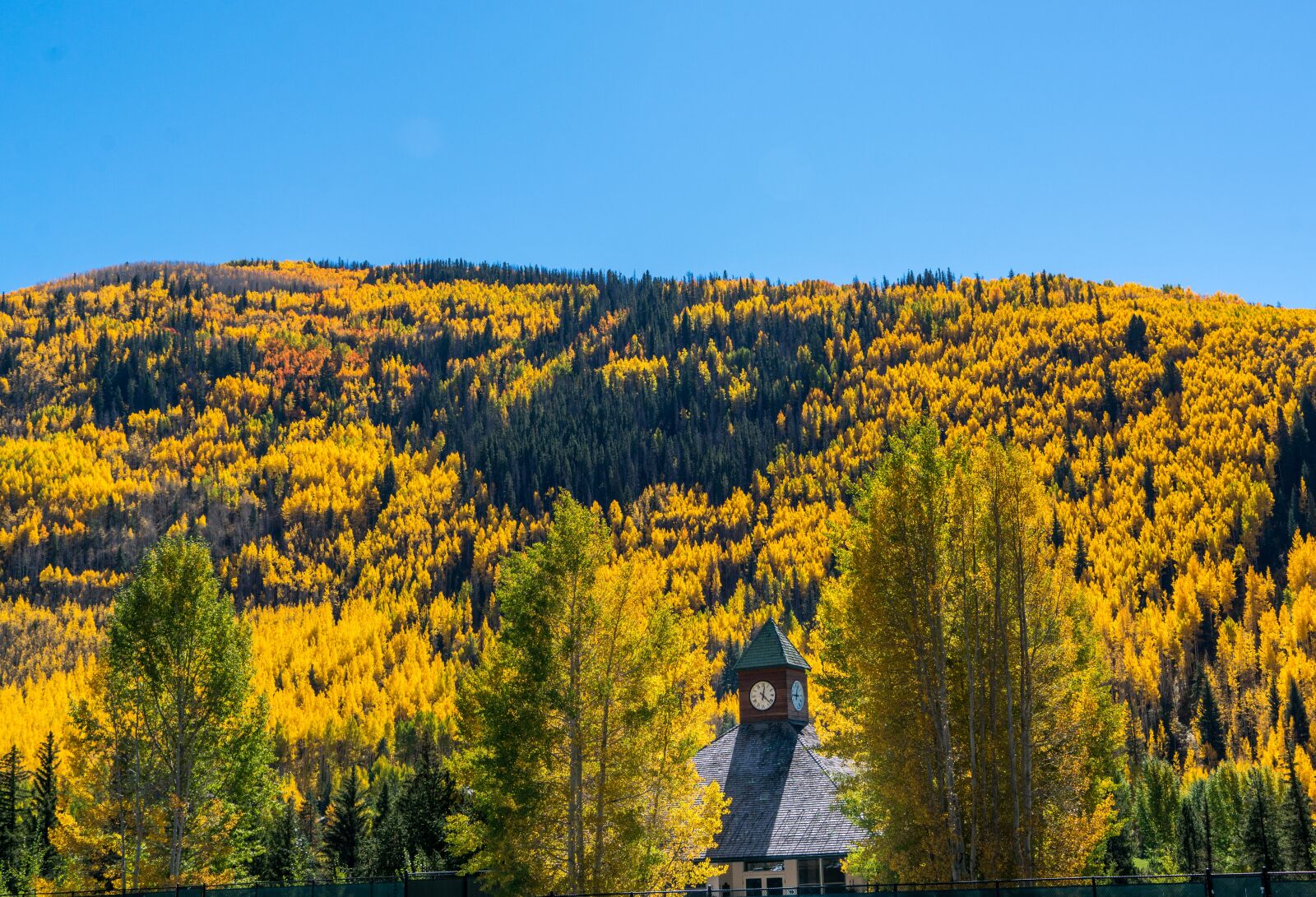 Sony a7R II + Sony FE 24-240mm F3.5-6.3 OSS sample photo. Rocky mountains, vail, colorado photography