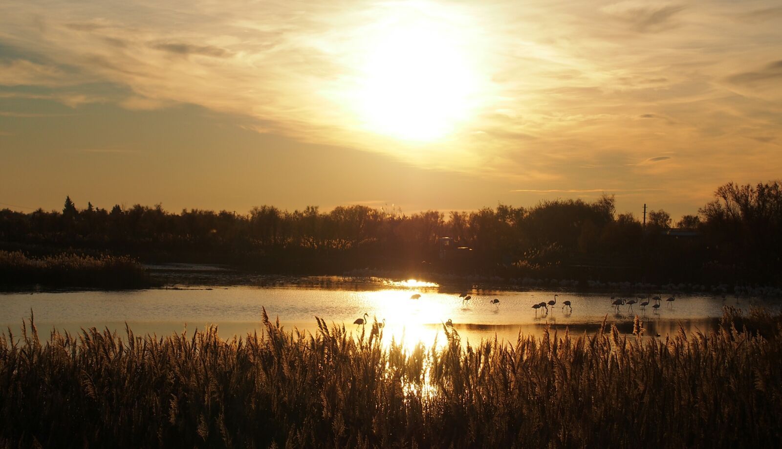 Olympus PEN E-PL6 sample photo. Sunset, against day, nature photography