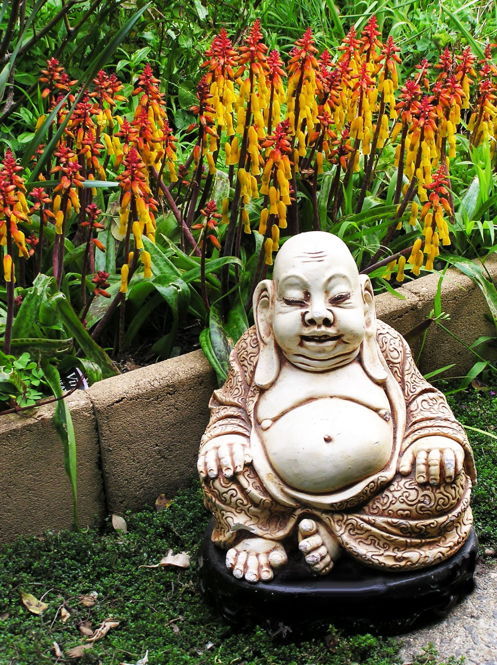 Olympus C750UZ sample photo. Garden, buddha, statue photography