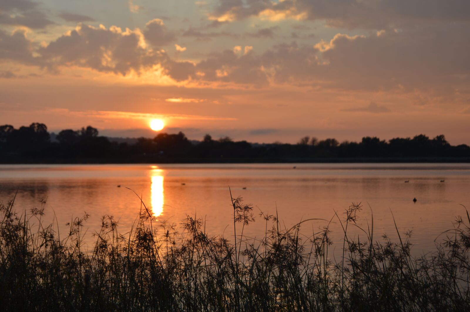Nikon D3200 sample photo. Sunset, water, dawn photography