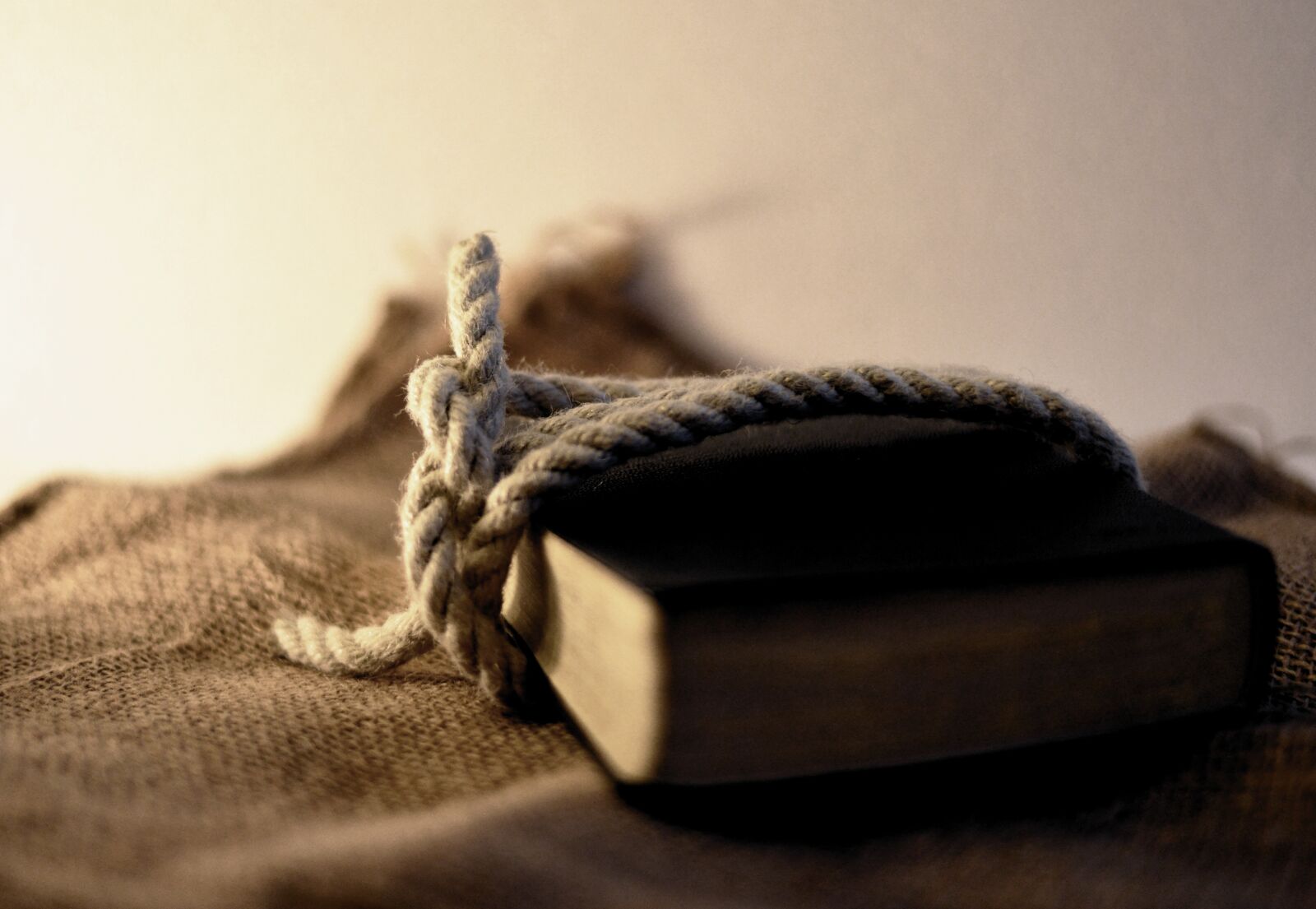Nikon D610 sample photo. Rope, knot, book photography