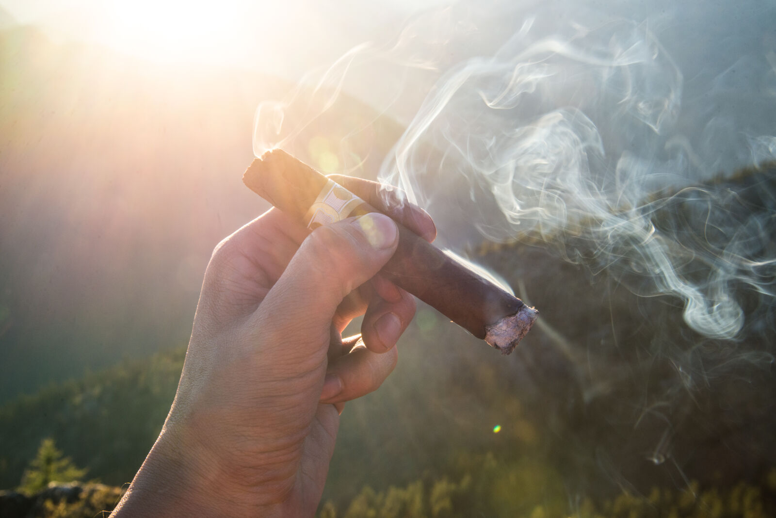 Nikon D600 sample photo. Smoking, cigarette, cigar photography