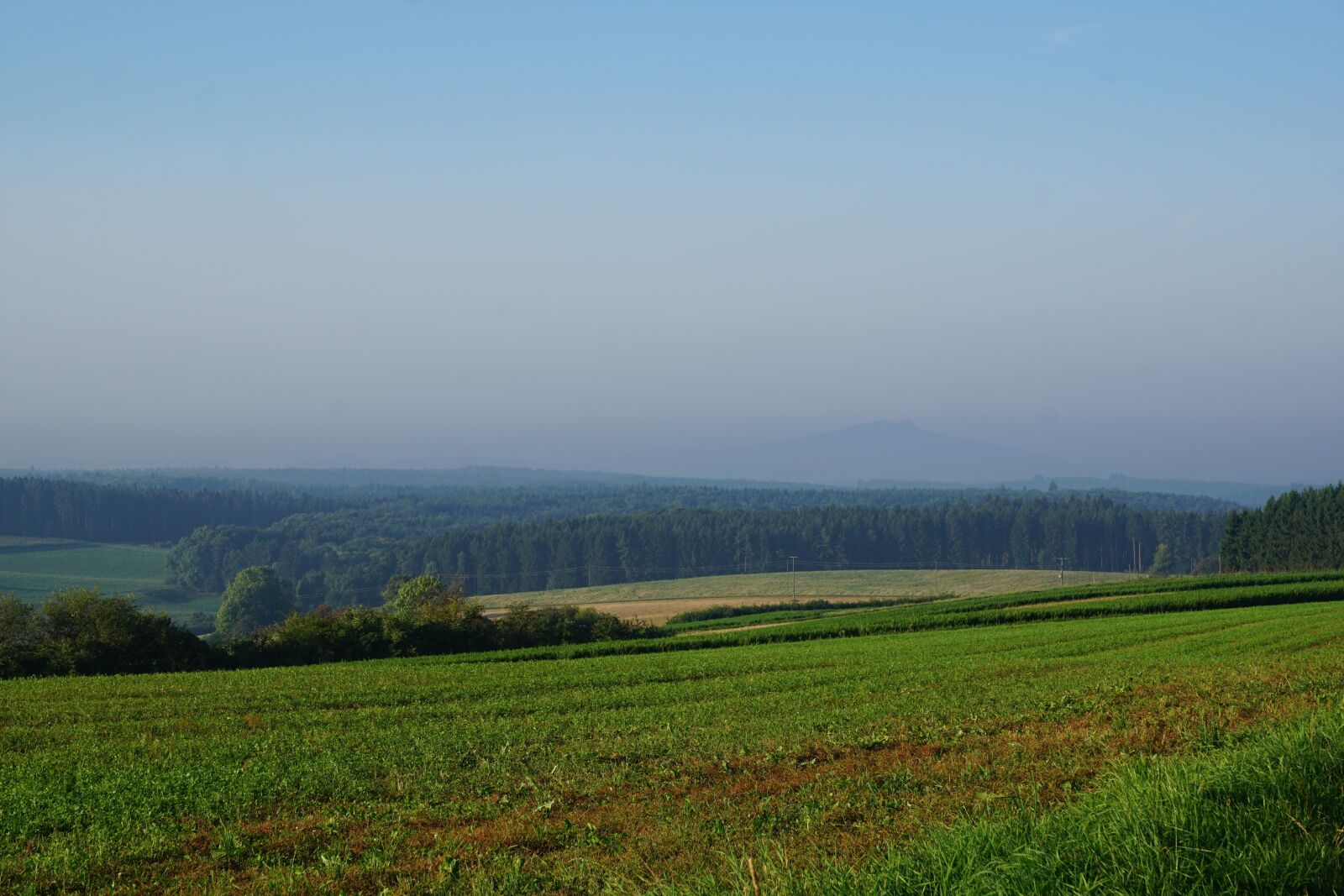 Sony ILCA-77M2 + Sony DT 16-50mm F2.8 SSM sample photo. Meadow, field, emmingen photography