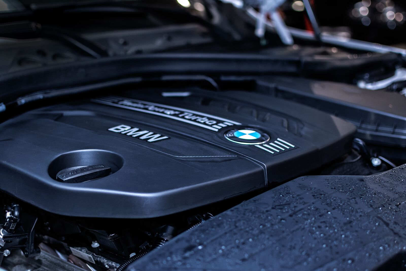 Nikon D5300 sample photo. Bmw, engine, car photography