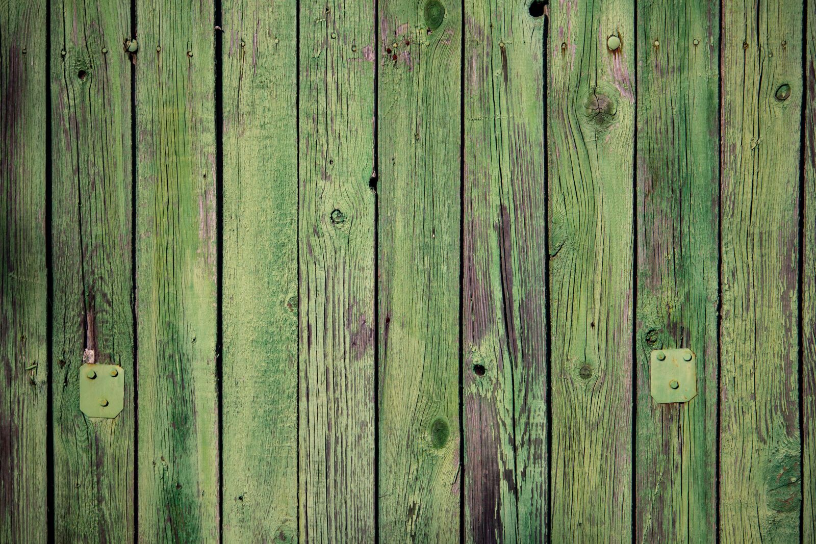 Canon EOS 100D (EOS Rebel SL1 / EOS Kiss X7) sample photo. Fence, wood, green photography