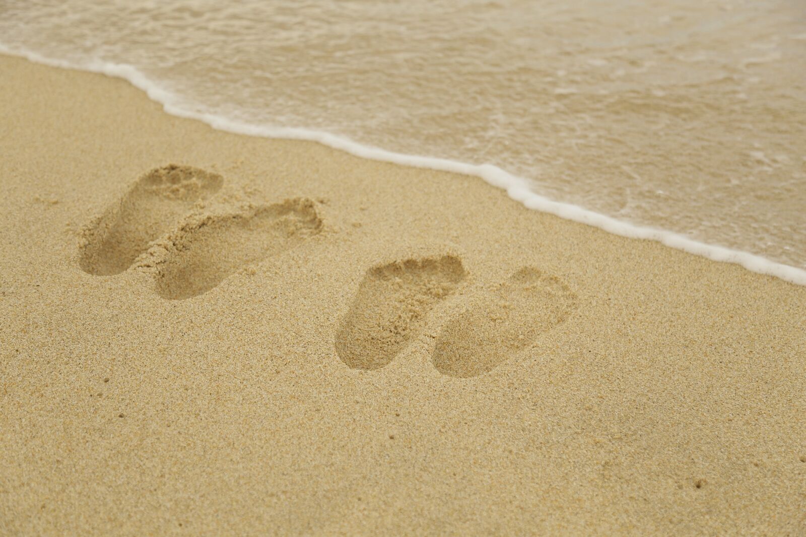 Canon EOS 6D + Canon EF 24-105mm F4L IS USM sample photo. Sea, beach, water photography