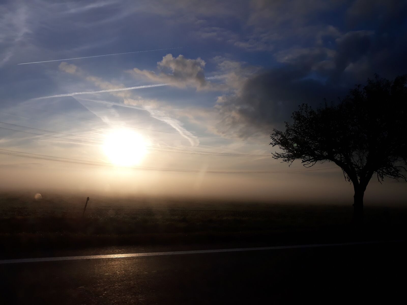 Samsung Galaxy J5 sample photo. Tree, shadow, fog photography
