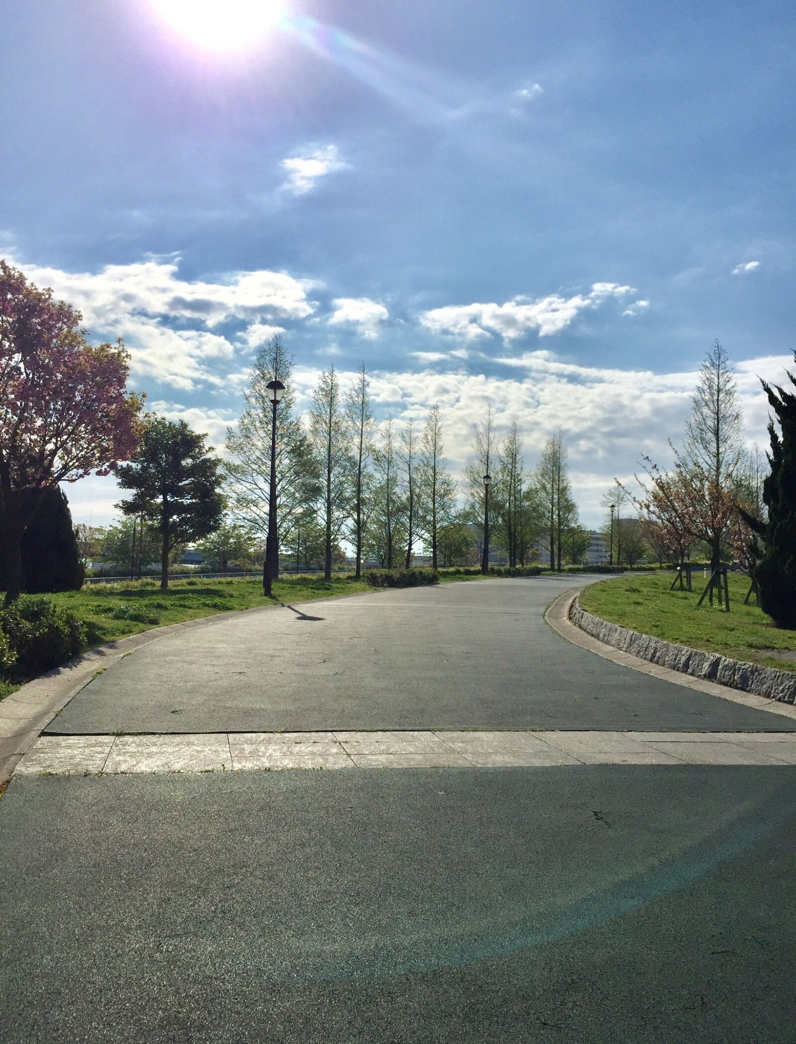 iPhone 6 back camera 4.15mm f/2.2 sample photo. Road photography