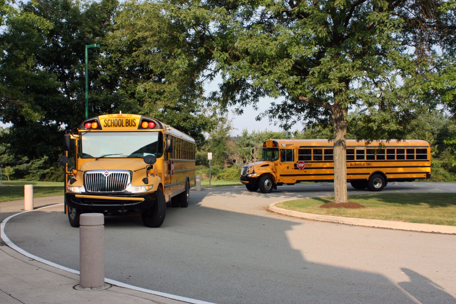 Canon EOS 450D (EOS Rebel XSi / EOS Kiss X2) sample photo. School bus, bus, school photography
